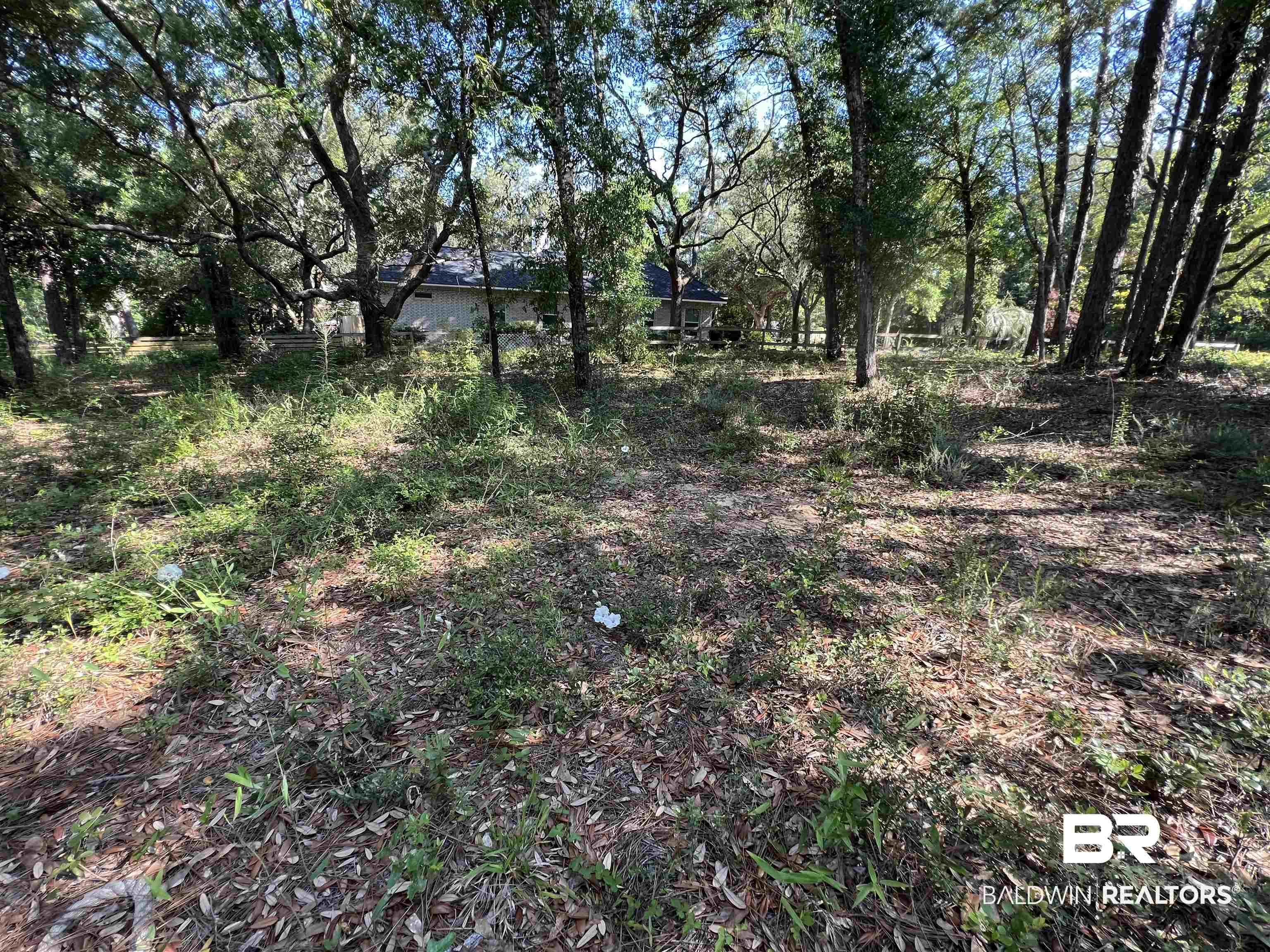 9545 North Bayou Road Lillian, AL 36549 - Photo 16 of 34 View of nature