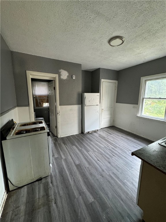 421 Murray Street Rochester, NY 14606 - Photo 12 of 14