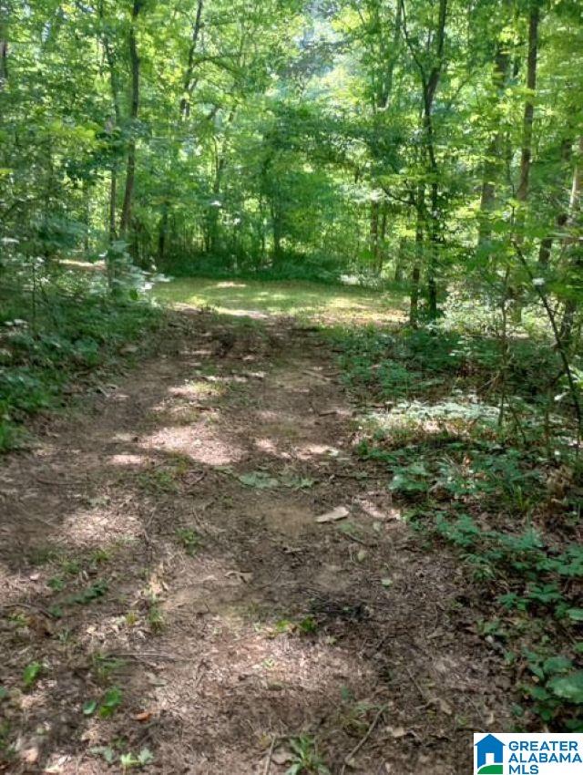 5100 Washington Valley Road, Unit PARCEL #1 Springville, AL 35146 - Photo 20 of 20