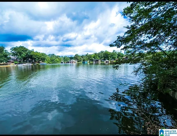 $119,999 | 0 County Road 707, Verbena, AL 36091