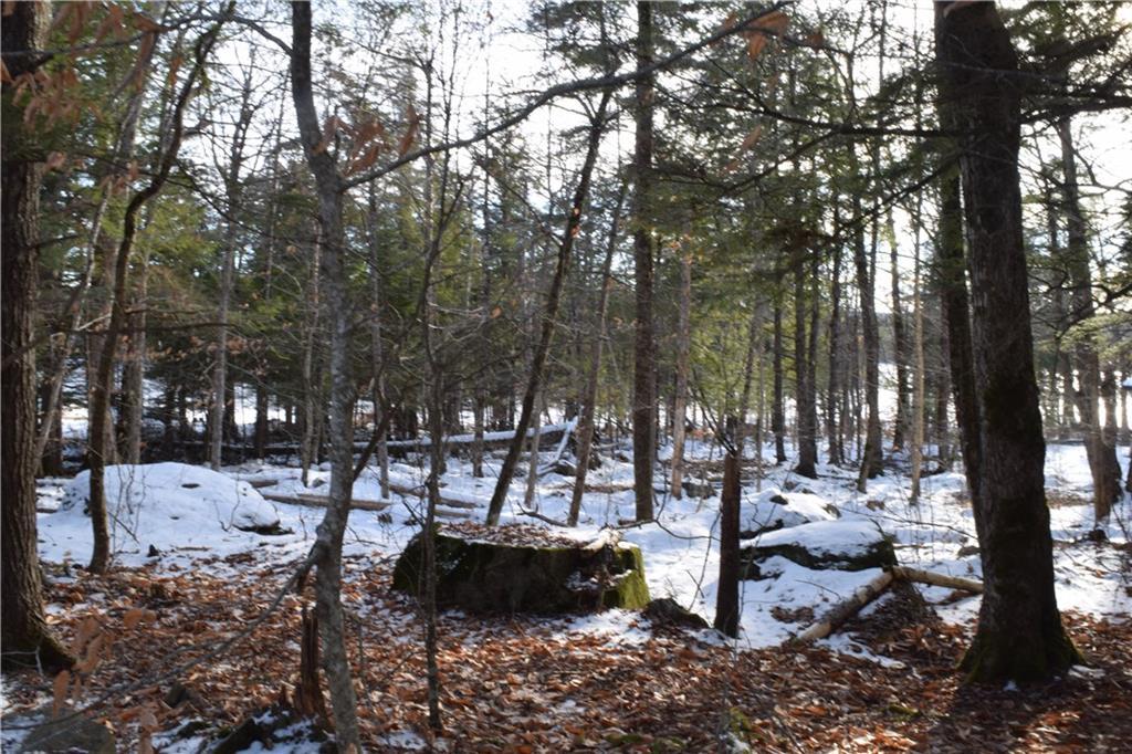 52 Peterson Road Dover-Foxcroft, ME 04426 - Photo 17 of 24 Maine Waterfront Camp for Sale in...