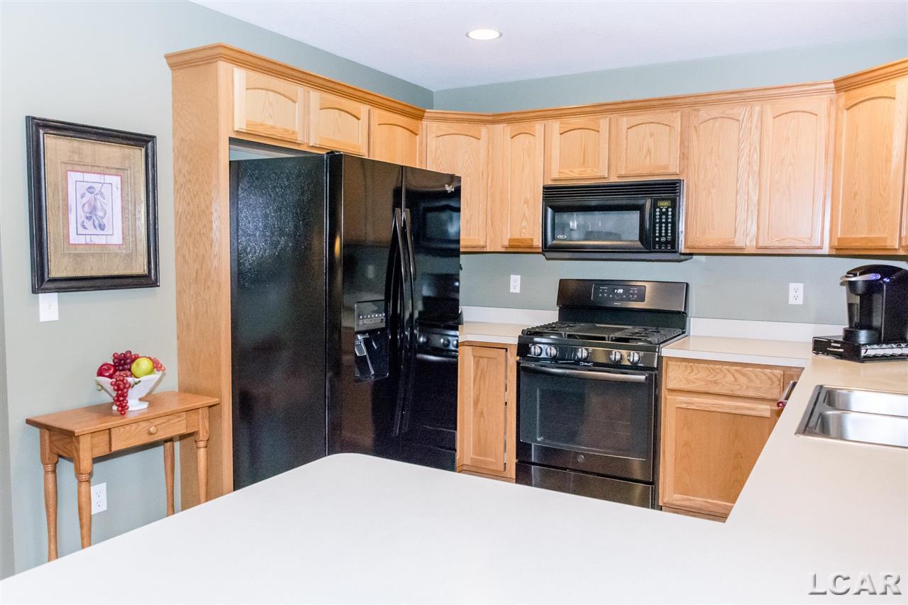 190 Joy Road Adrian, MI 49221 - Photo 25 of 46 50045814-40.JPG