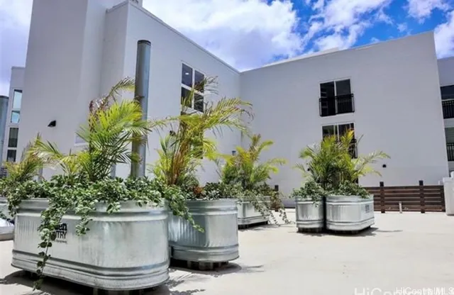 a view of a flower in a living room