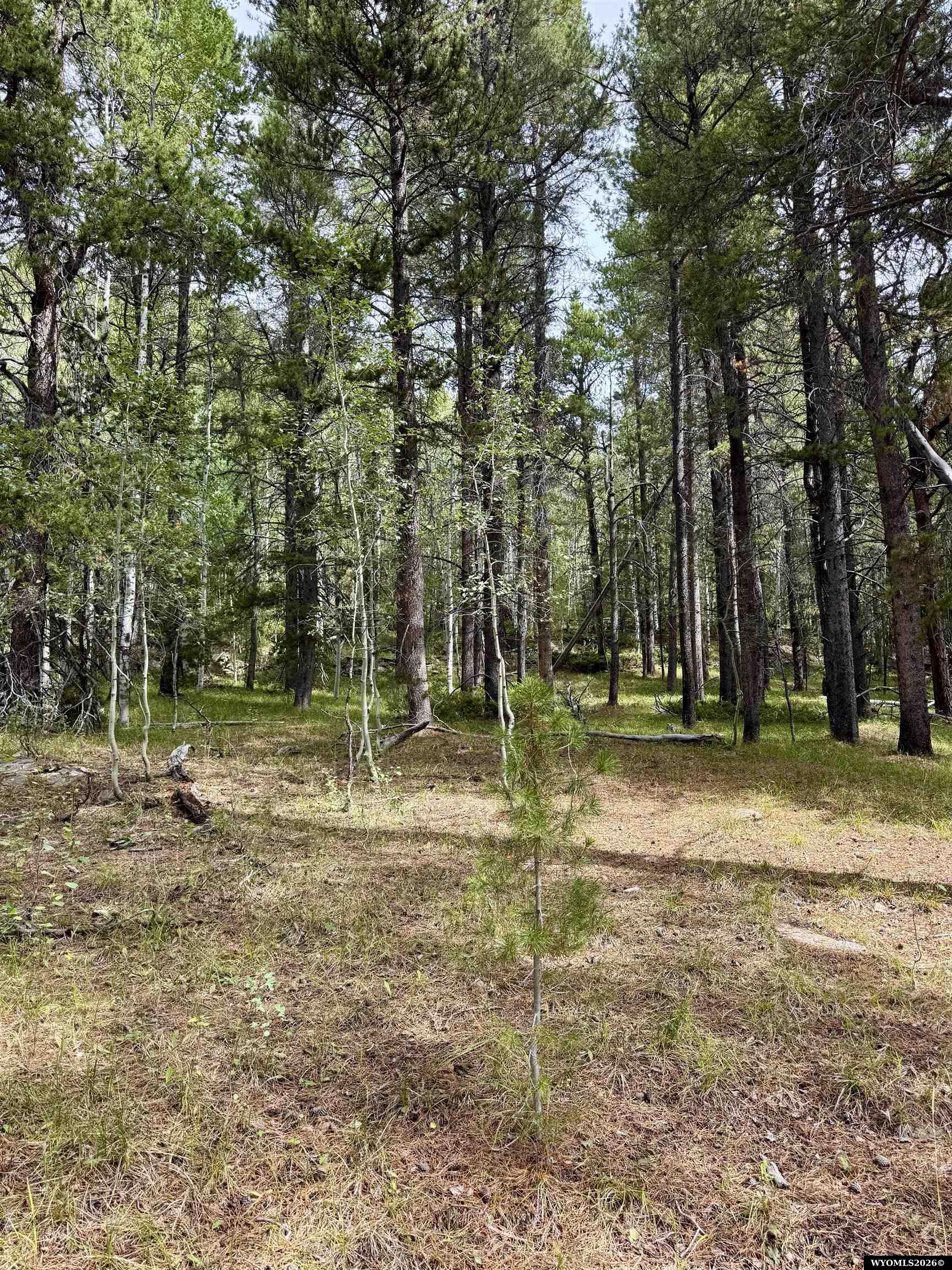 Lot 620 Starwallow Road, Unit 6 Casper, WY 82601 - Photo 7 of 13 Gallery Image 7