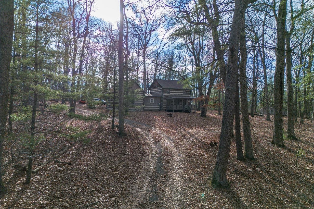 800 Cove Mountain Road Mathias, WV 26812 - Photo 61 of 74 a view of a forest filled with trees