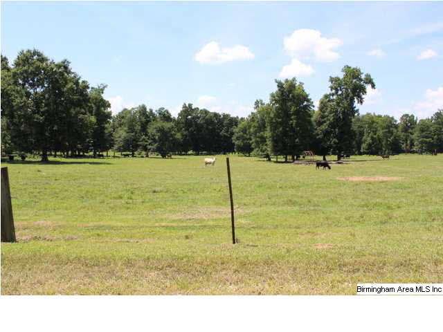 Mudd Street Lincoln, AL 35096 - Photo 5 of 32