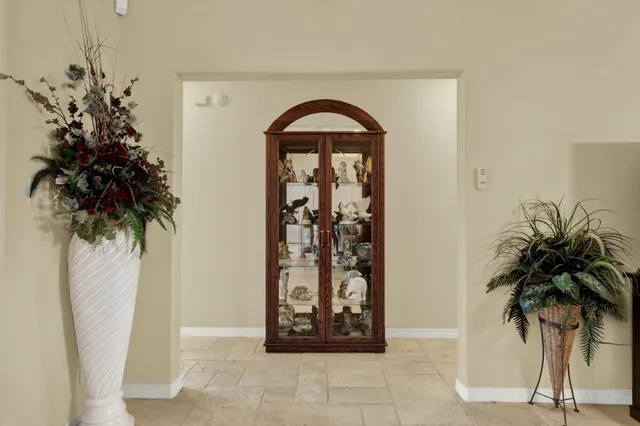 a view of a entryway door with potted plants