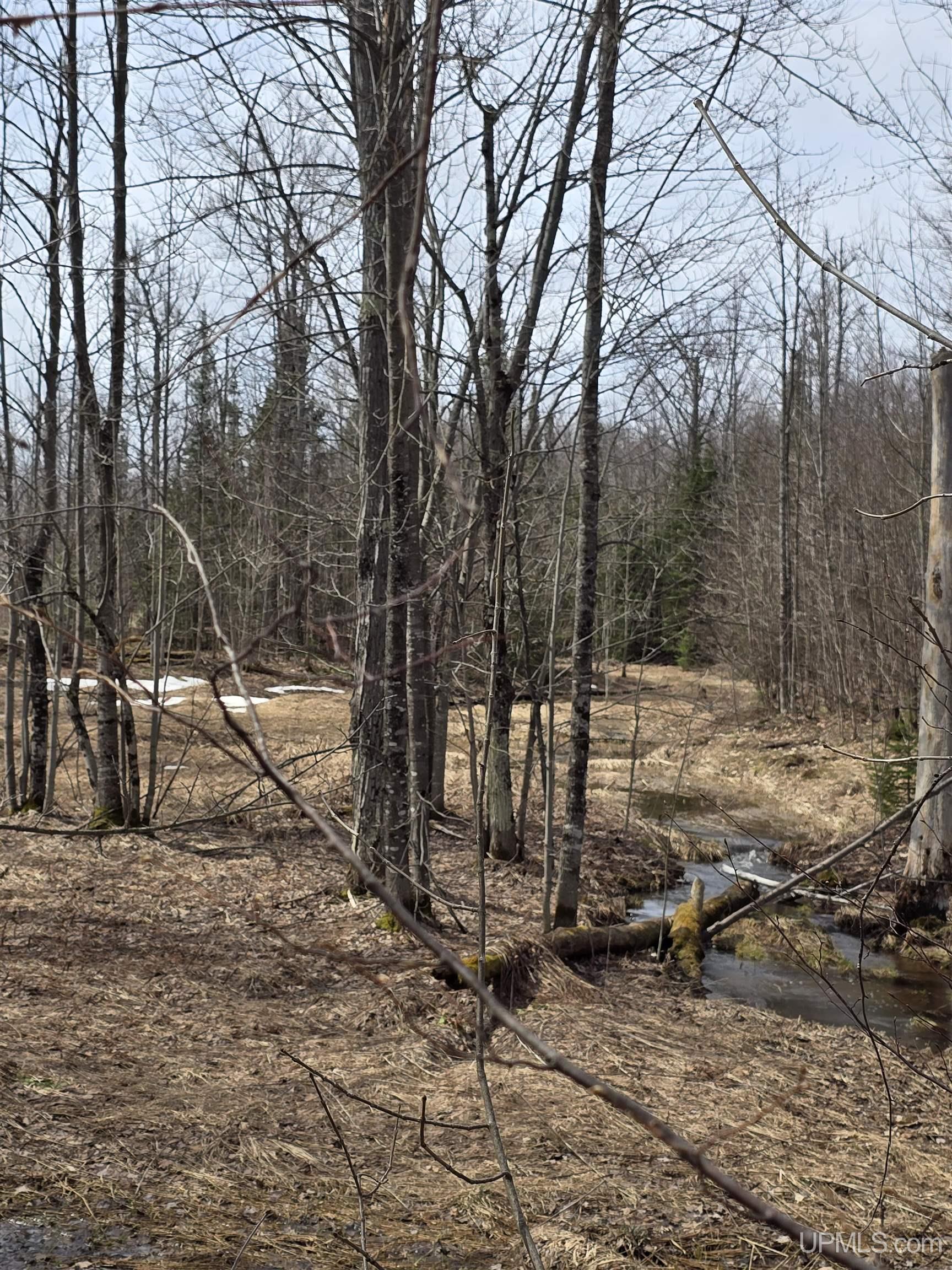 Tbd Woodspur Road Ontonagon, MI 49953 - Photo 30 of 46