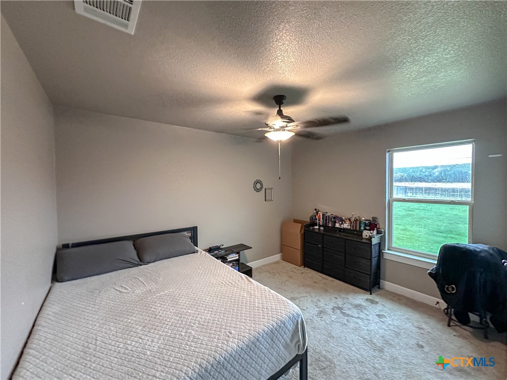 3533 Hooten Bend Kempner, TX 76539 - Photo 34 of 47