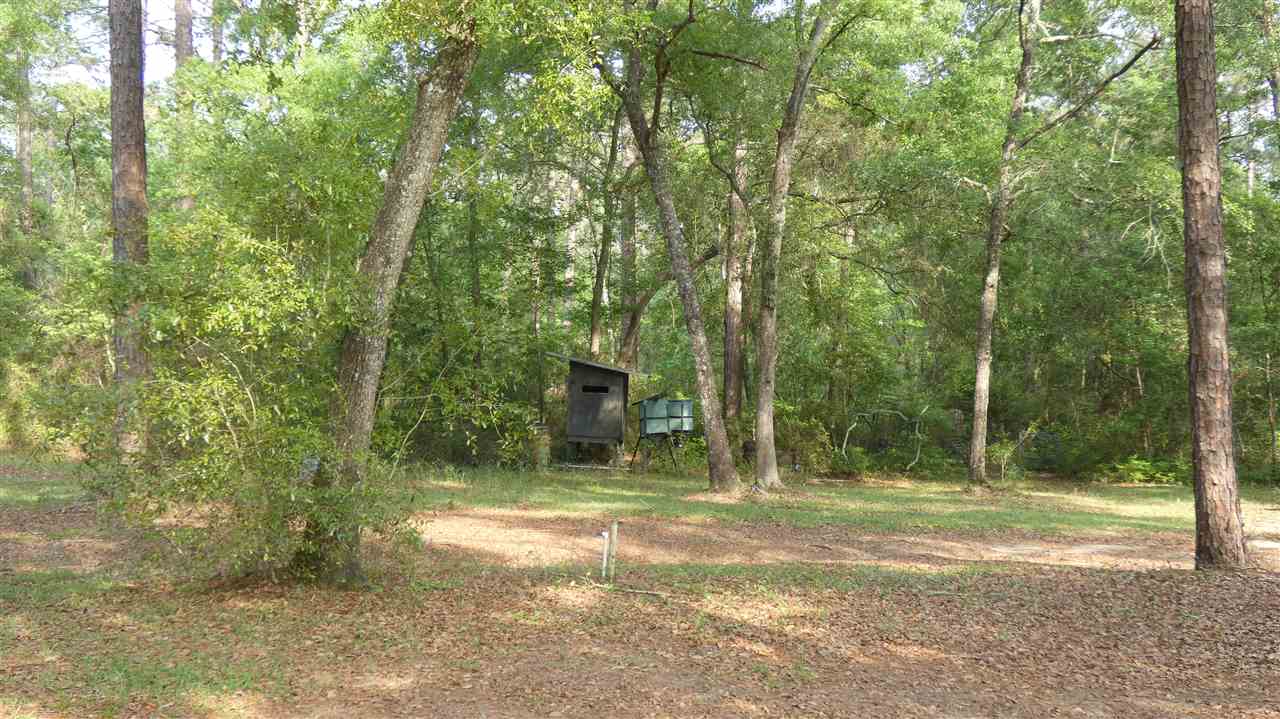 500 Cox Road Monticello, FL 32344 - Photo 1 of 18 Gallery Image 1