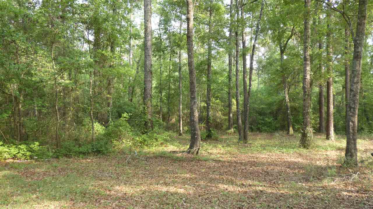 500 Cox Road Monticello, FL 32344 - Photo 2 of 18 Gallery Image 2