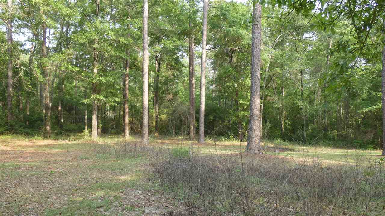 500 Cox Road Monticello, FL 32344 - Photo 3 of 18 Gallery Image 3