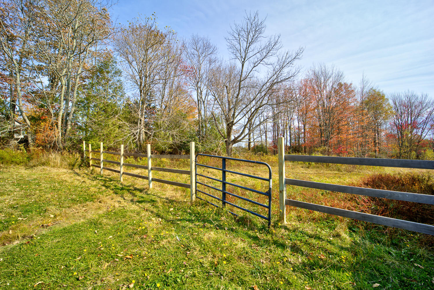 648 North Sedgwick Road Sedgwick, ME 04676 - Photo 41 of 67 B Yard 1