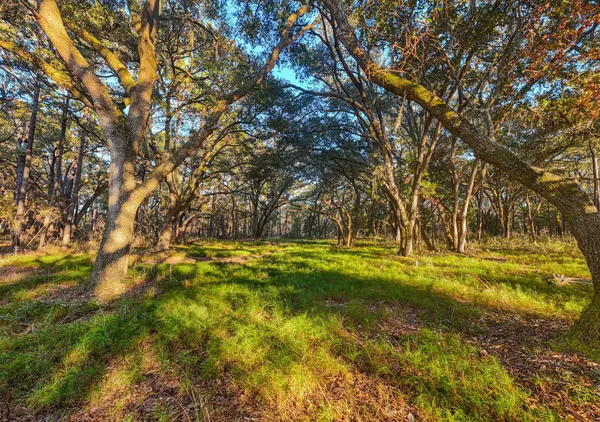 $1,995,000 | 0 King Rail Lane, Edisto Island, SC 29438