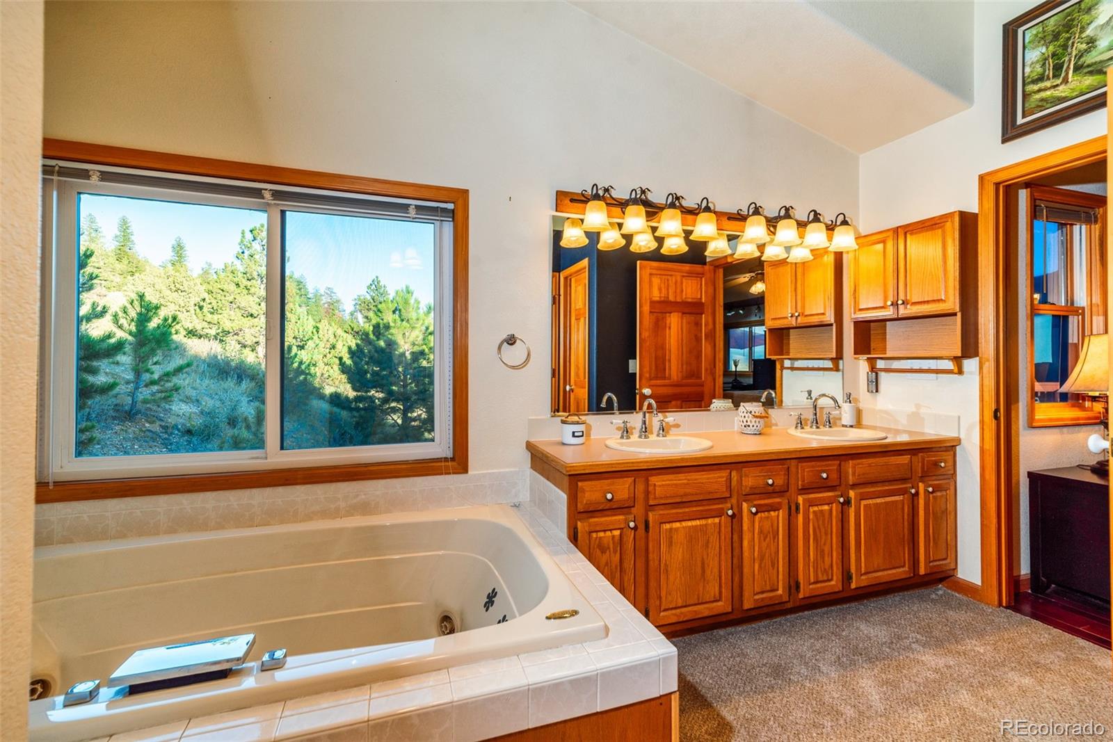 614 Spring Valley Bailey, CO 80421 - Photo 19 of 37