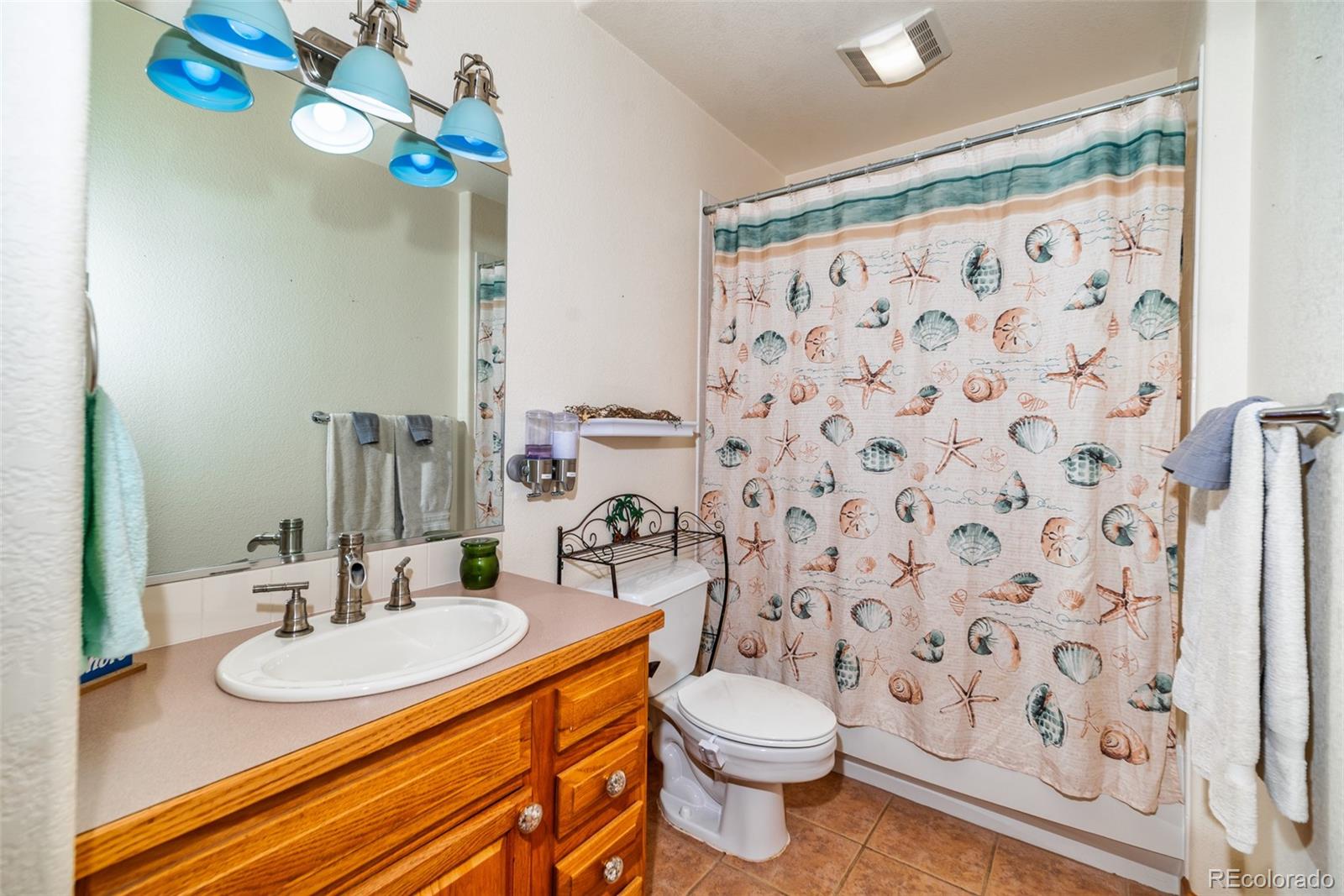 614 Spring Valley Bailey, CO 80421 - Photo 27 of 37