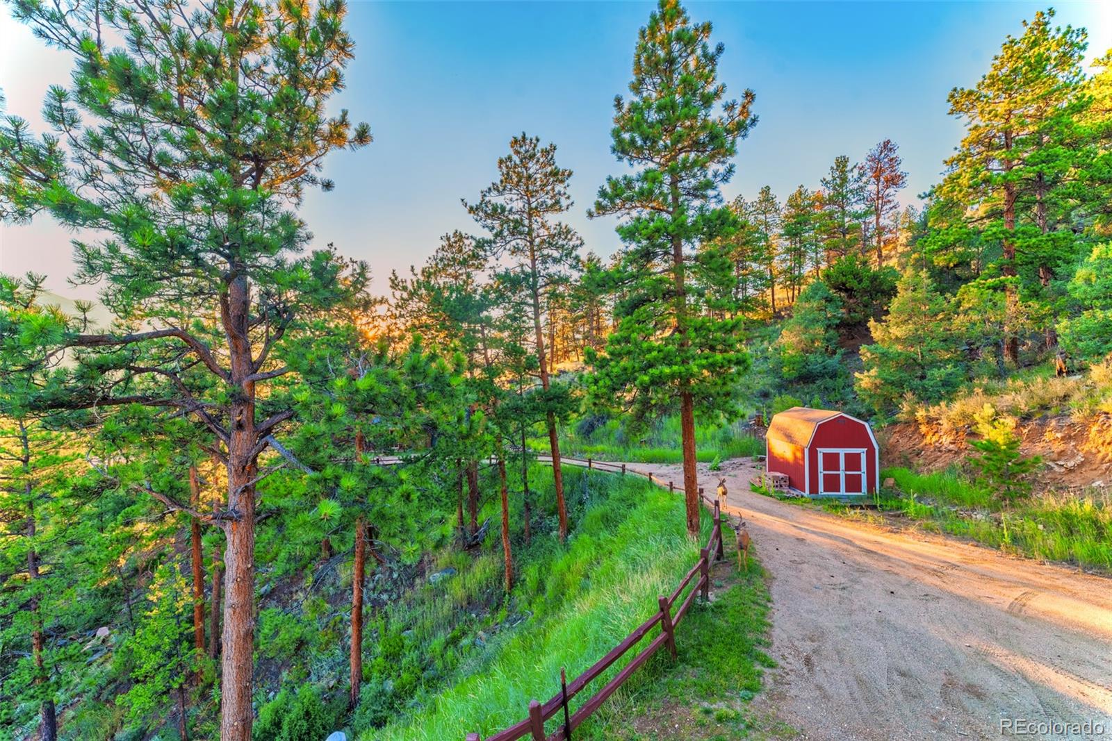 614 Spring Valley Bailey, CO 80421 - Photo 30 of 37