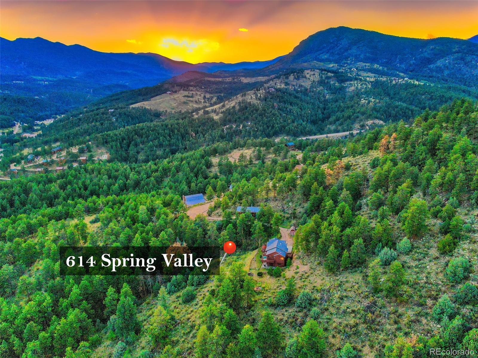 614 Spring Valley Bailey, CO 80421 - Photo 33 of 37