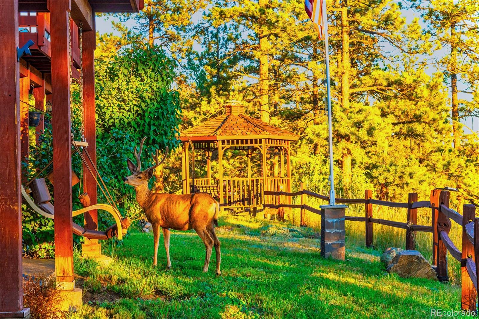 614 Spring Valley Bailey, CO 80421 - Photo 9 of 37