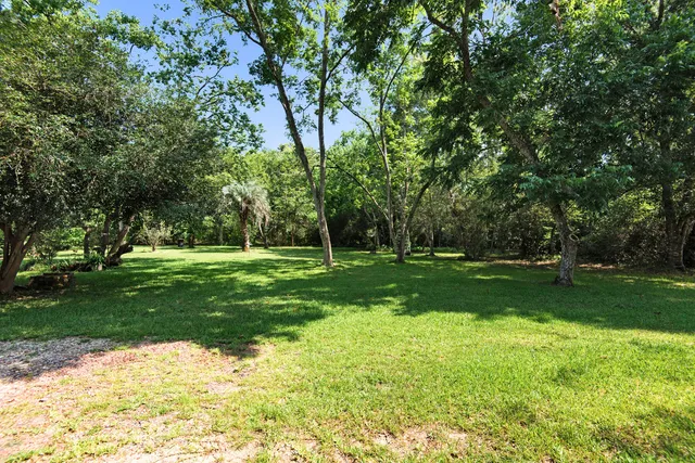 a view of a park with large trees