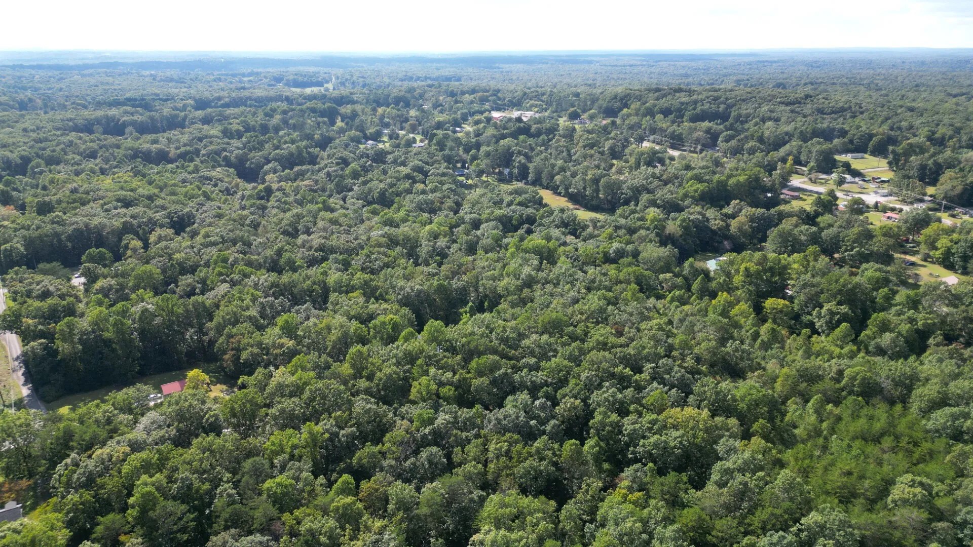 0 Caldwell Road Gruetli Laager, TN 37339 - Photo 19 of 24 an aerial view of forest