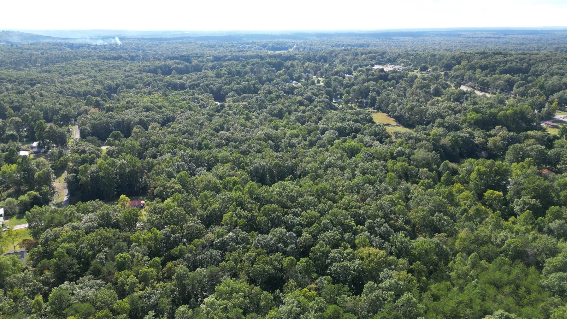 0 Caldwell Road Gruetli Laager, TN 37339 - Photo 20 of 24 a view of a city with lush green forest