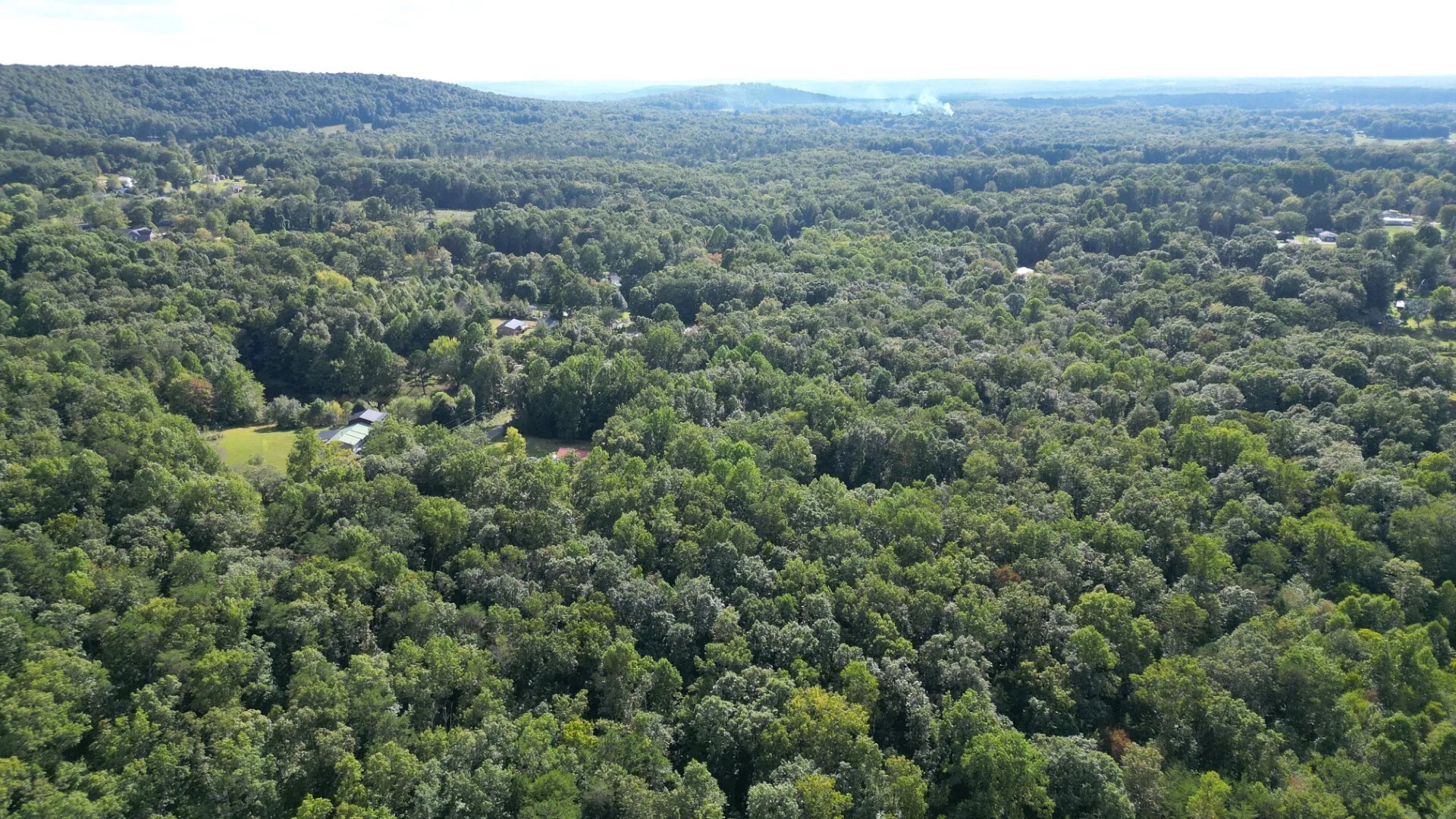 0 Caldwell Road Gruetli Laager, TN 37339 - Photo 21 of 24 a view of a forest with a street