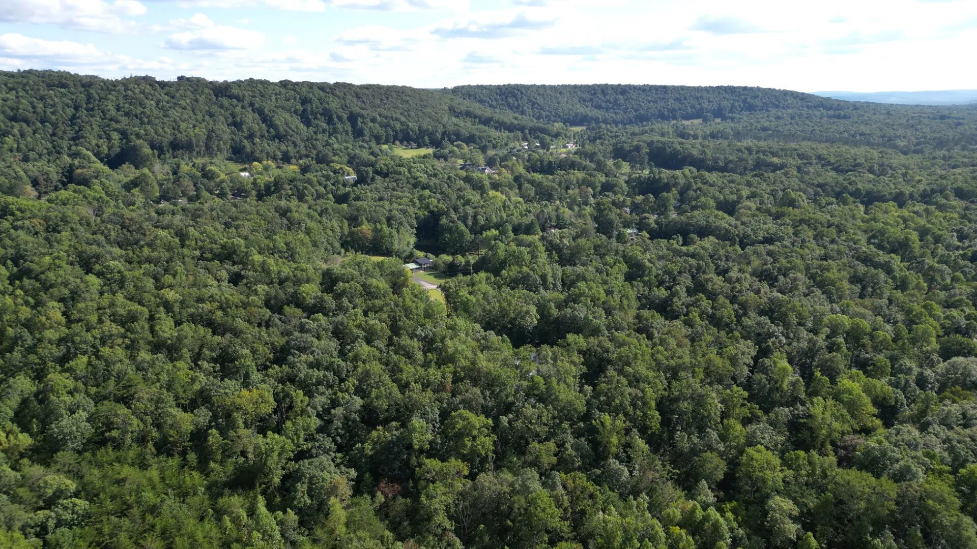0 Caldwell Road Gruetli Laager, TN 37339 - Photo 23 of 24 a view of a mountain in the distance in a field