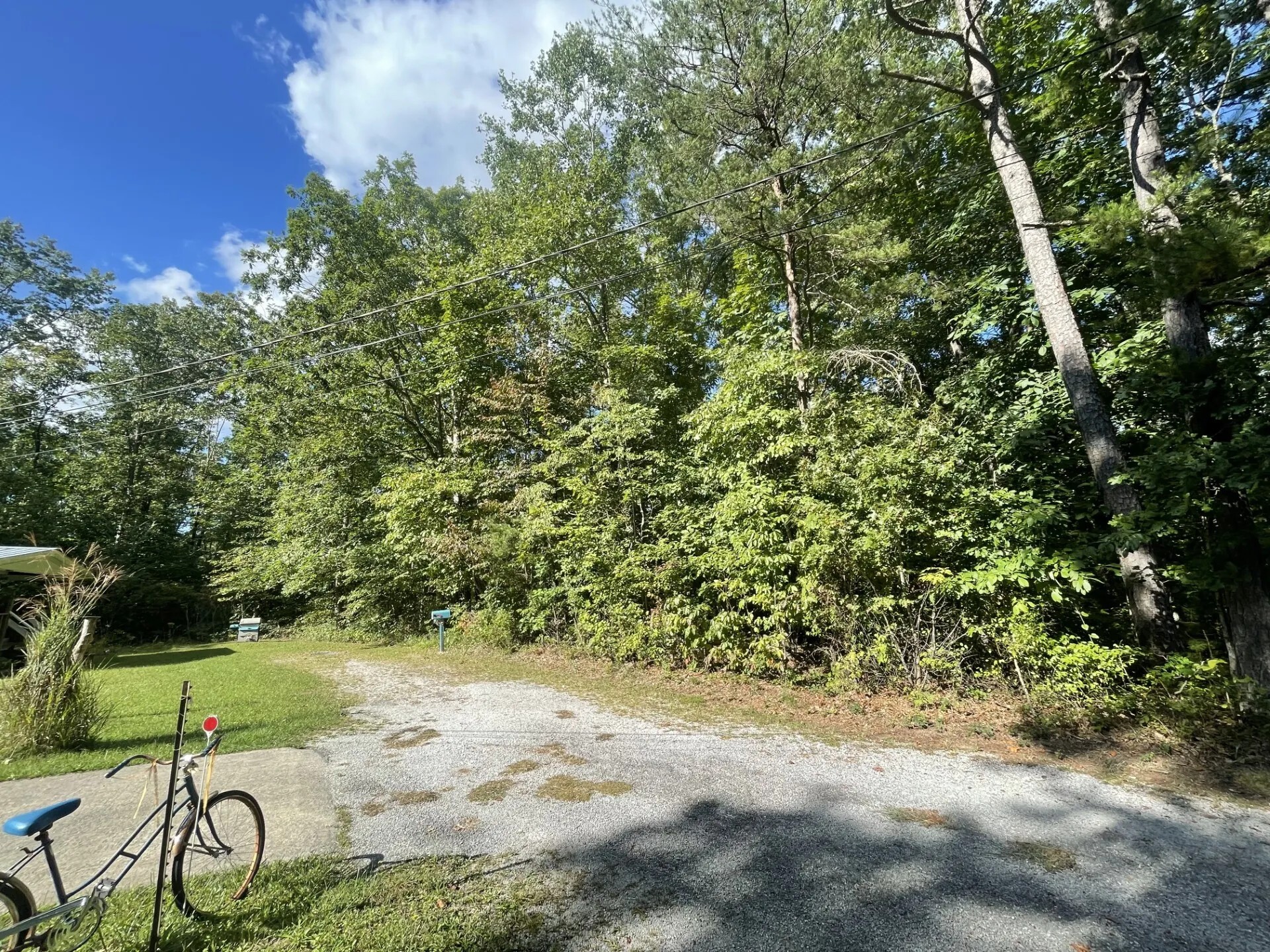 0 Caldwell Road Gruetli Laager, TN 37339 - Photo 3 of 24 a view of a yard with a tree