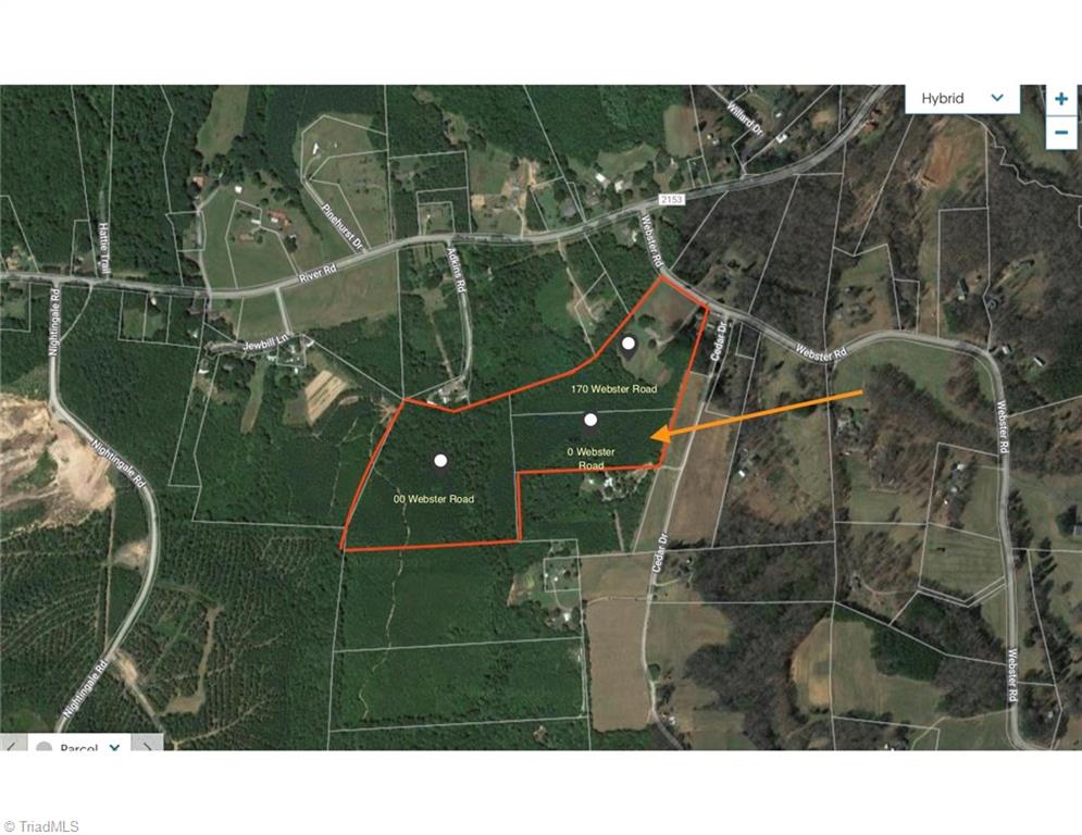 0 Webster Road Stoneville, NC 27048 - Photo 1 of 2