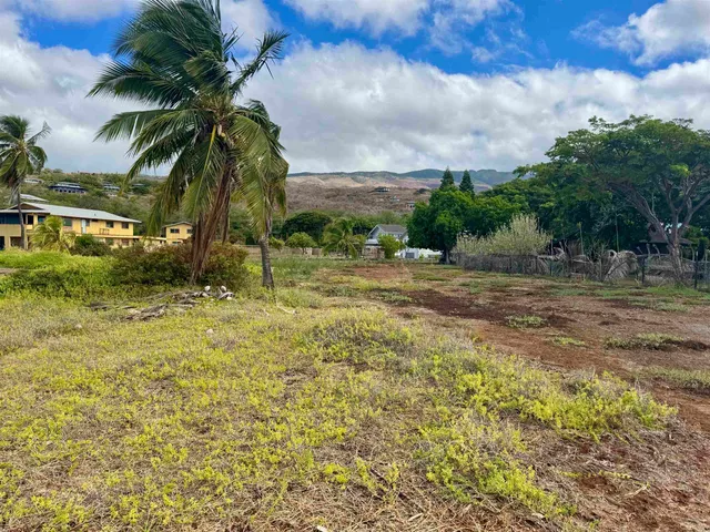 a view of a yard with a trees