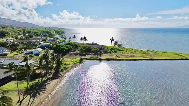 a view of a swimming pool with a yard and potted plants