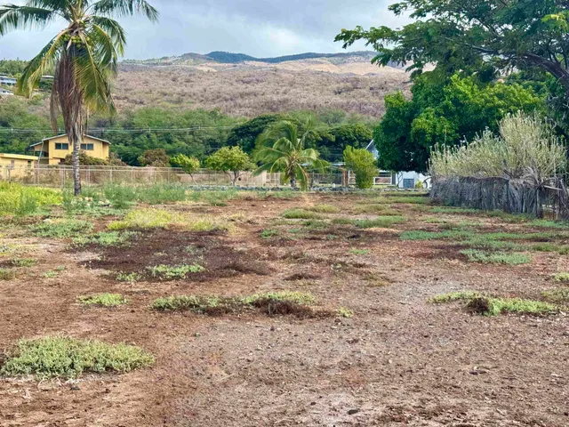 a view of a yard with a fountain