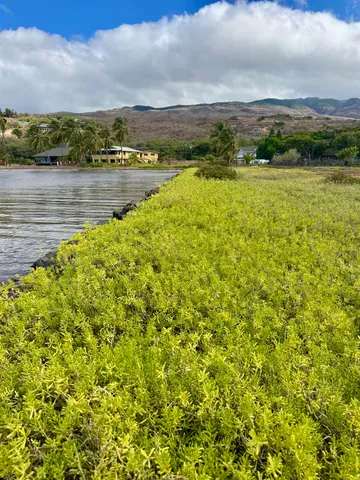 a view of a city with an ocean view