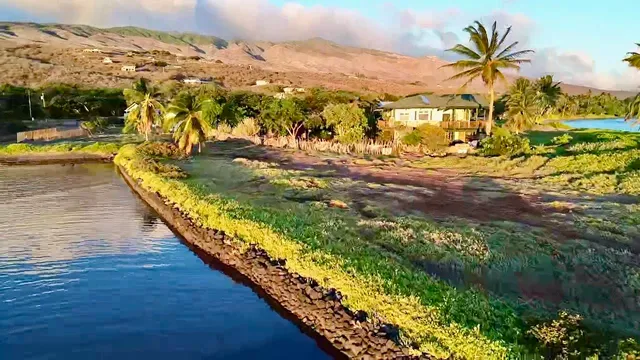 a view of swimming pool with a garden