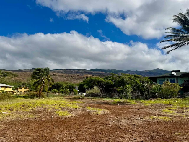 a view of a big yard with palm trees