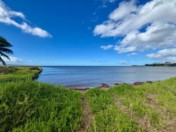 a view of a lake with a yard