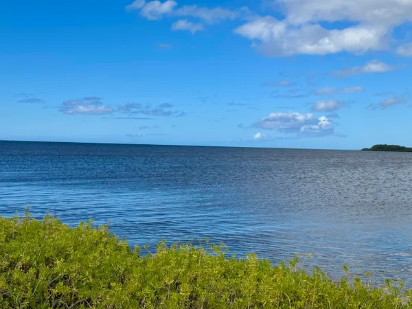 a view of an ocean from a yard