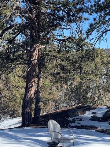 517 Valley Road Florissant, CO 80816 - Photo 12 of 26