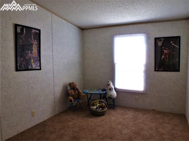 11275-285 East Blaney Road Peyton, CO 80831 - Photo 3 of 3 Gallery Image 3