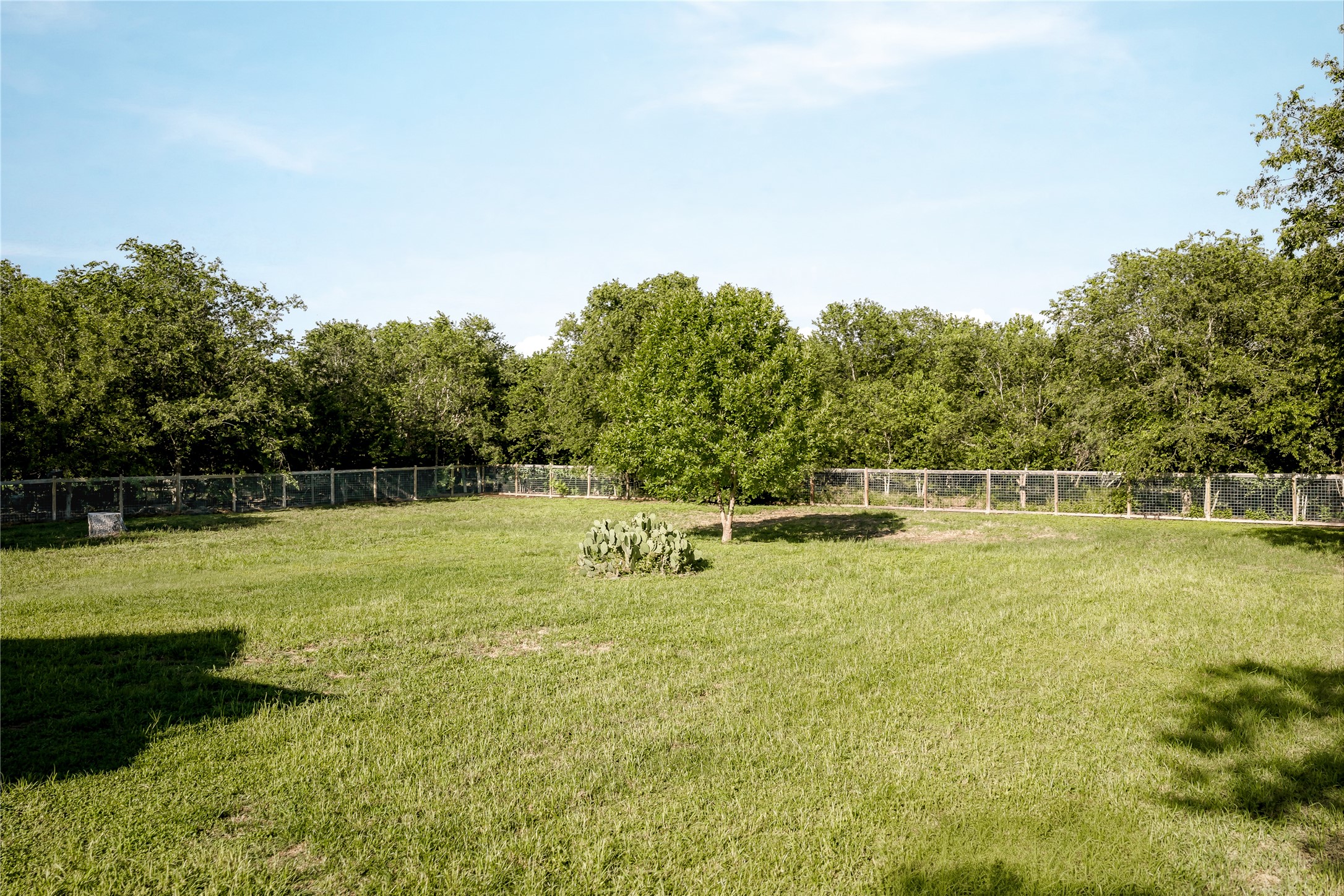 372 Old Lockhart Road Lockhart, TX 78644 - Photo 38 of 40 Securely fenced, this vast grassy yard awaits your outdoor aspirations.