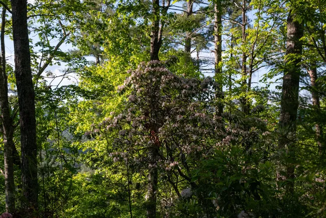 $79,900 | 260 Eastatoe Parkway, Sunset, SC 29685