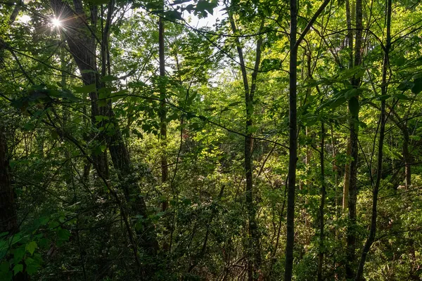 $79,900 | 260 Eastatoe Parkway, Sunset, SC 29685