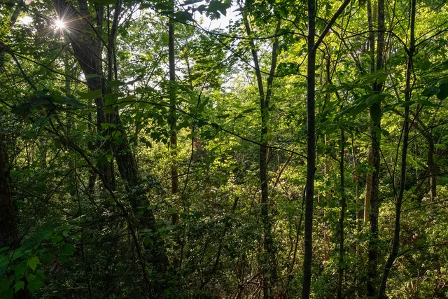 $79,900 | 260 Eastatoe Parkway, Sunset, SC 29685