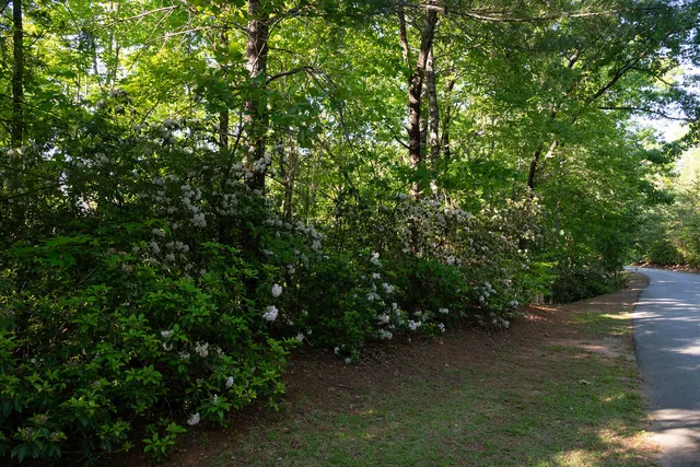 $79,900 | 260 Eastatoe Parkway, Sunset, SC 29685