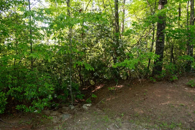 $79,900 | 260 Eastatoe Parkway, Sunset, SC 29685