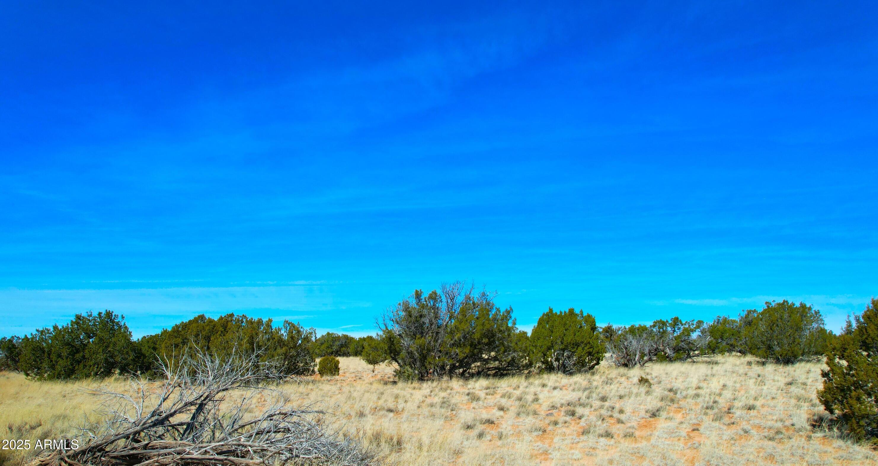 84 County Road St. Johns, AZ 85936 - Photo 9 of 11