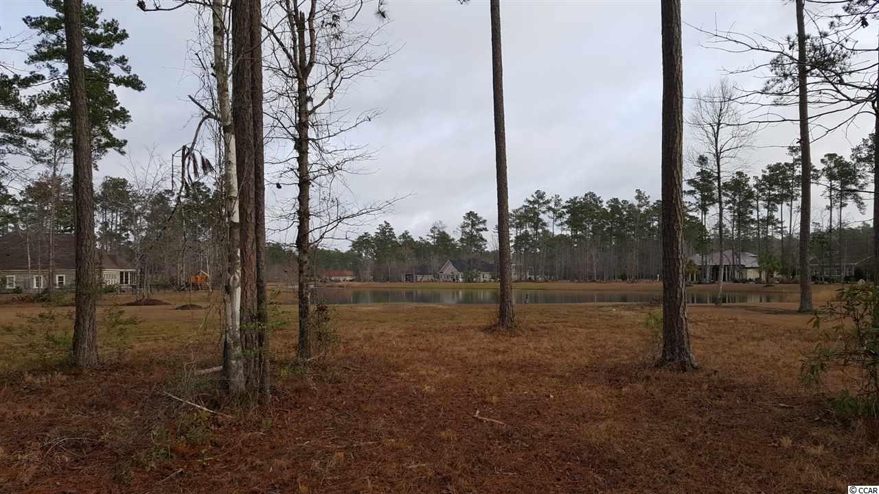Lot 254 Chamberlin Road Myrtle Beach, SC 29588 - Photo 1 of 25 Gallery Image 1