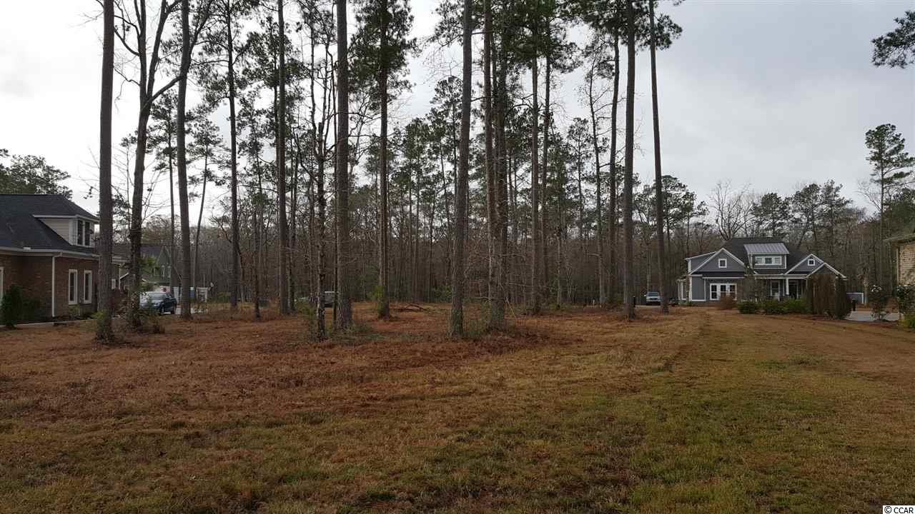 Lot 254 Chamberlin Road Myrtle Beach, SC 29588 - Photo 3 of 25 Gallery Image 3