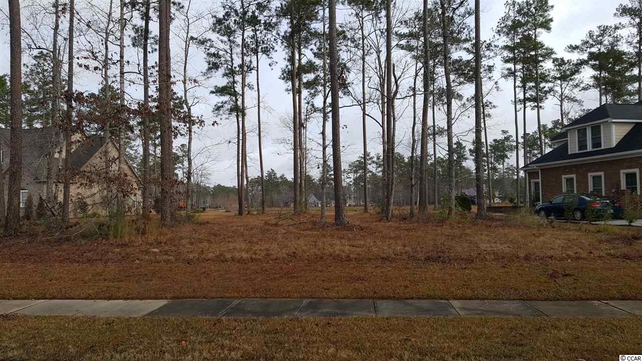 Lot 254 Chamberlin Road Myrtle Beach, SC 29588 - Photo 4 of 25 Gallery Image 4